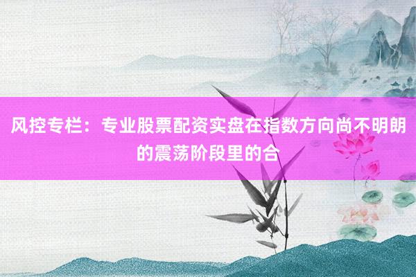 风控专栏：专业股票配资实盘在指数方向尚不明朗的震荡阶段里的合
